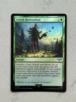 1x MTG Entish Restoration (Foil) - The Lord of the Rings (LTR) #163 - Magic - NM - Image 1