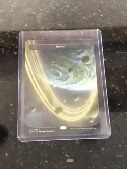 Forest (244) (Borderless) Unfinity Regular - Image 2