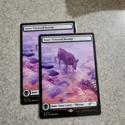 SNOW-COVERED SWAMP X2 (1475) Secret Lair Magic MTG Package TO Sleeve 2 Copies - Image 1