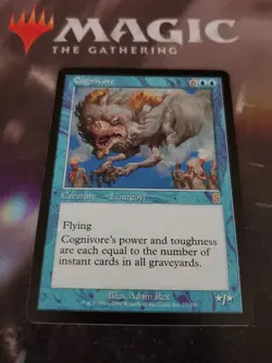 Cognivore Odyssey Regular - Image 1