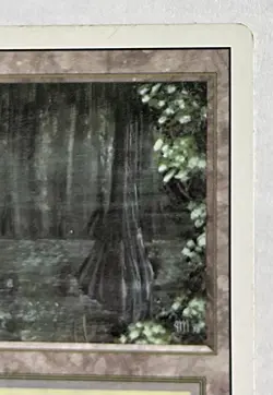 Magic the Gathering Bayou Revised Edition Dual Land Regular Card - Image 3