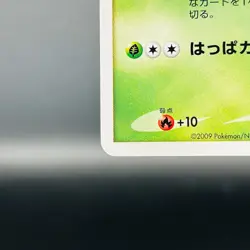 (EX) Bulbasaur 030/DPt-P Pokemon Center 10th Anniversary Promo 2009 Japan Card - Image 5