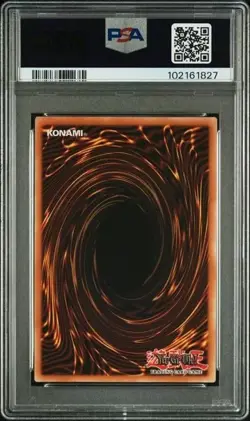 S:P Little Knight (Secret Rare) RA03-EN049 Quarter Century Bonanza 1st Edition - Image 3