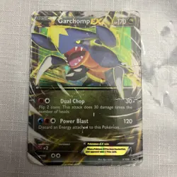 Pokemon TCG Card Basic Garchomp EX Holo XY09 XY Black Star Promo HP - Image 1
