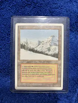 MTG Taiga Revised Edition Regular Rare NM - Image 1