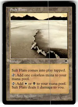 Salt Flats Tempest Regular MTG LP - Image 3