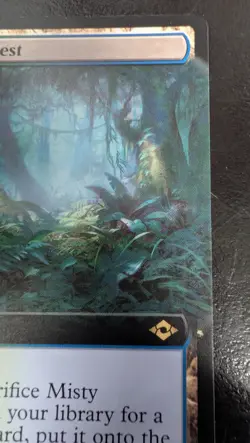 Misty Rainforest (Extended Art) Modern Horizons 2 Regular - Image 10