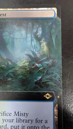 Misty Rainforest (Extended Art) Modern Horizons 2 Regular - Image 4