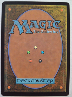 Bortuk Bonerattle Dominaria United Showcase, Magic the Gathering, NM MTG CCG TCG - Image 4