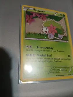 Pokemon Card Shaymin XY188 Black Star Promo Holo Near Mint - Image 4