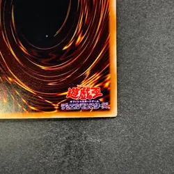 NM Dark Paladin 303-051 Secret Rare YuGiOh 910 - Image 10
