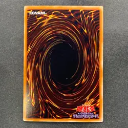 NM Dark Paladin 303-051 Secret Rare YuGiOh 910 - Image 6