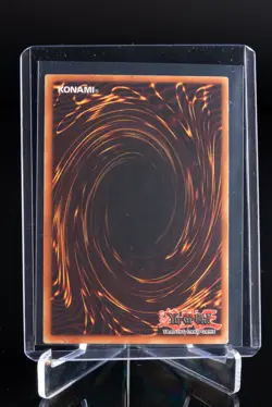Celtic Guardian SDY-009 Starter Deck: Yugi 1st Edition Yu-Gi-Oh - Image 4