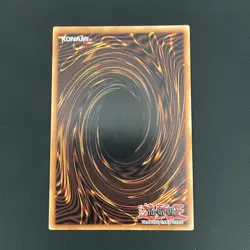 Yu-Gi-Oh 1x Dragon Master Lords ALIN-EN000 Quarter Century Secret Rare Near Mint - Image 2