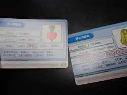 Pokemon Battle Card e+ Ruby & Sapphire Berry x2 SET #5585 - Image 2