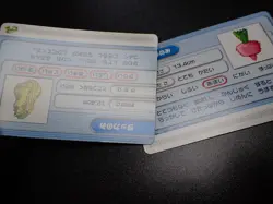 Pokemon Battle Card e+ Ruby & Sapphire Berry x2 SET #5585 - Image 9
