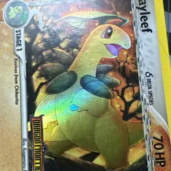NM Pokémon Bayleef Delta Species EX Dragon Frontiers 26/101 STAMPED HOLO - Image 19