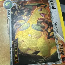 NM Pokémon Bayleef Delta Species EX Dragon Frontiers 26/101 STAMPED HOLO - Image 4