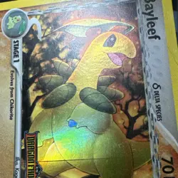 NM Pokémon Bayleef Delta Species EX Dragon Frontiers 26/101 STAMPED HOLO - Image 6