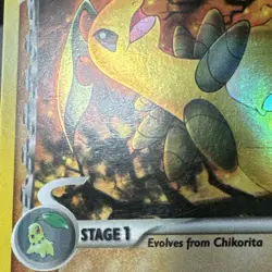 NM Pokémon Bayleef Delta Species EX Dragon Frontiers 26/101 STAMPED HOLO - Image 9