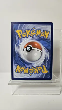 Dachsbun ex 160/142 Stellar Crown (SCR) NM Full Art Pokemon Card - Image 4
