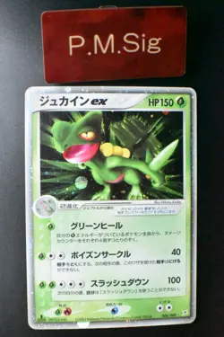 Sceptile ex 006/080 EX Magma VS Aqua 2003 Holo Rare Japanese Pokemon Card - Image 1