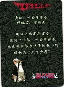 Tōshirō Hitsugaya SSR Bleach Holographic CCG TCG Anime Collectible Card - Image 2