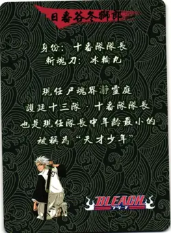 Tōshirō Hitsugaya SSR Bleach Holographic CCG TCG Anime Collectible Card - Image 4
