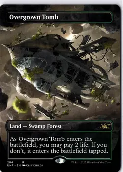 Overgrown Tomb (Borderless) Unfinity Regular - Image 1