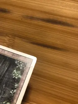 Bayou Dual Land - Revised 1994 MtG Magic the Gathering Moderate/Heavy Play MP BC - Image 8