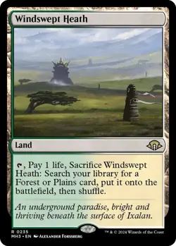 MTG MH3 NM Windswept Heath - Image 1
