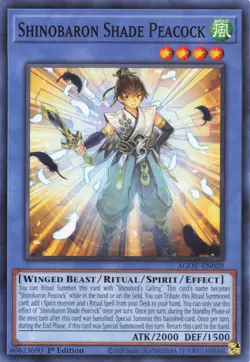 Yu-Gi-Oh Age of Overlord AGOV Singles | 1st Edition | Choose Your Card - Image 8
