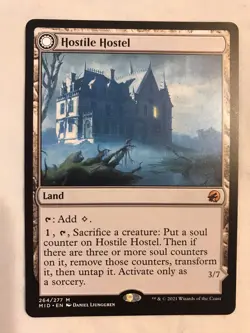 Garza Zol, Plague Queen Commander EDH Vampire deck 100 card Hostile Hostel Clasp - Image 10