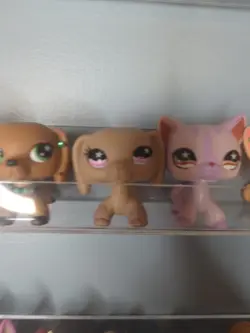 25TH Yu Gi Oh PANDEMONIUM GUARD BEAR DCR-FR058 Card - Image 2