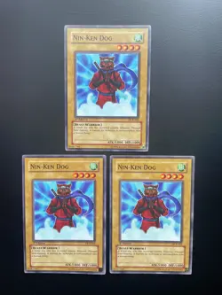 Yugioh Nin-Ken Dog DCR-002 Common 1st Edition LP/MP X3 - Image 3