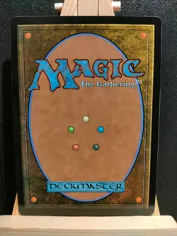 Reunion of the House (Extended Art) - Tarkir Dragonstorm - NM (see pics) MTG - Image 2