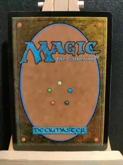 Reunion of the House (Extended Art) - Tarkir Dragonstorm - NM (see pics) MTG - Image 5