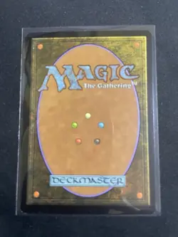 MtG X1 Secluded Glen Lorwyn Magic The Gathering (Land) (Blue) (Black) - Image 4