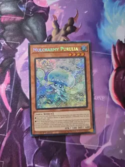 Mulcharmy Purulia INFO-EN027 The Infinite Forbidden 1st Edition - Image 1