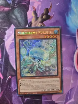 Mulcharmy Purulia INFO-EN027 The Infinite Forbidden 1st Edition - Image 6