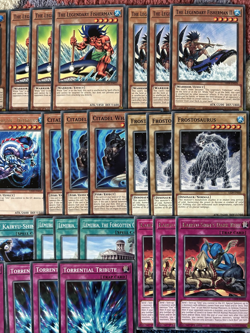 YuGiOh Legendary Fisherman Deck Core Umi Mega Fortress Whale , Lord Kairyu-Shin - Image 8