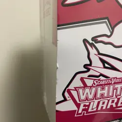 White Flare / Black Bolt Pokemon Center Elite Trainer Box (Exclusive) - IN HAND - Image 3