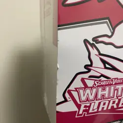 White Flare / Black Bolt Pokemon Center Elite Trainer Box (Exclusive) - IN HAND - Image 8