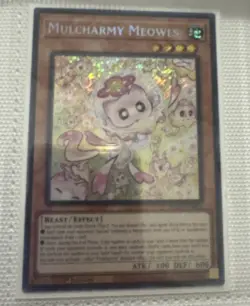 Mulcharmy Meowls SUDA-EN025 Yugioh Supreme Darkness 1st Edition Secret Rare - Image 1
