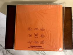 US SELLER Pokemon Flareon 480 Slot Card Binder from Chinese Eevee Gift Box - Image 10