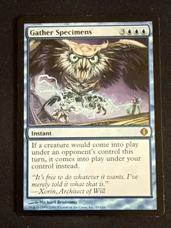 1x Gather Specimens (45) Shards of Alara MP MTG Magic the Gathering x1 MKE - Image 1