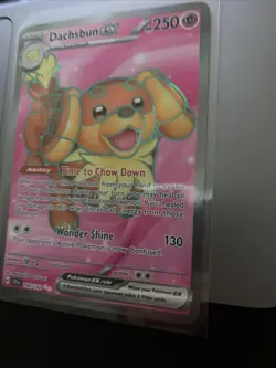 Dachsbun ex 160/142 Full Art Double Rare Stellar Crown Pokemon Card NM - Image 2