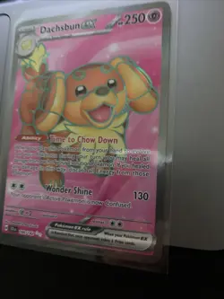 Dachsbun ex 160/142 Full Art Double Rare Stellar Crown Pokemon Card NM - Image 4