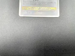 Garchomp Visual Book Promo LV.X 058/DP-P Holo MP Japanese Pokemon Card #3 - Image 15