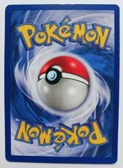 Wartortle Pokemon Card Shadowless Base Set WOTC 42/102 Rare Vintage 1999 LP - Image 2